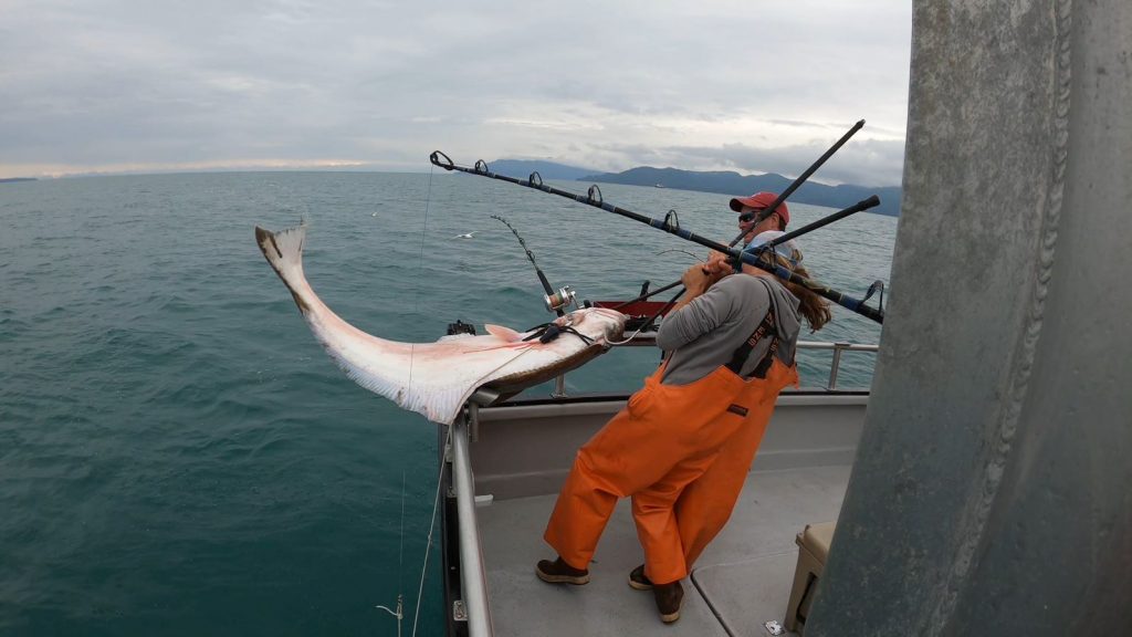 Whittier Fishing Charters for Halibut and Salmon Prince William Sound