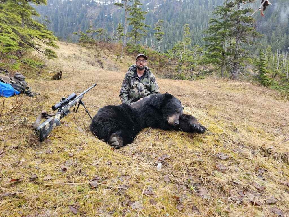 alaska black bear Hunting